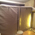 Cannabis-Plantage in Keller in Wien-Rudolfsheim-Fünfhaus