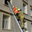 DSCI0491 _1_.jpg