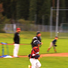 cardinals 00108_JPG-1476904452.jpg
