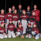cardinals 00034_JPG-1476904932.jpg