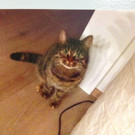 gerda2.jpg