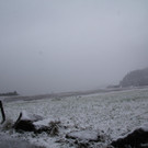 IMG_9019.JPG
