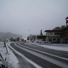 IMG_9025.JPG