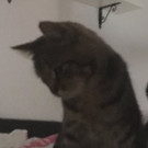 Lou 1.jpg
