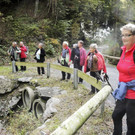 Weitere Bilder