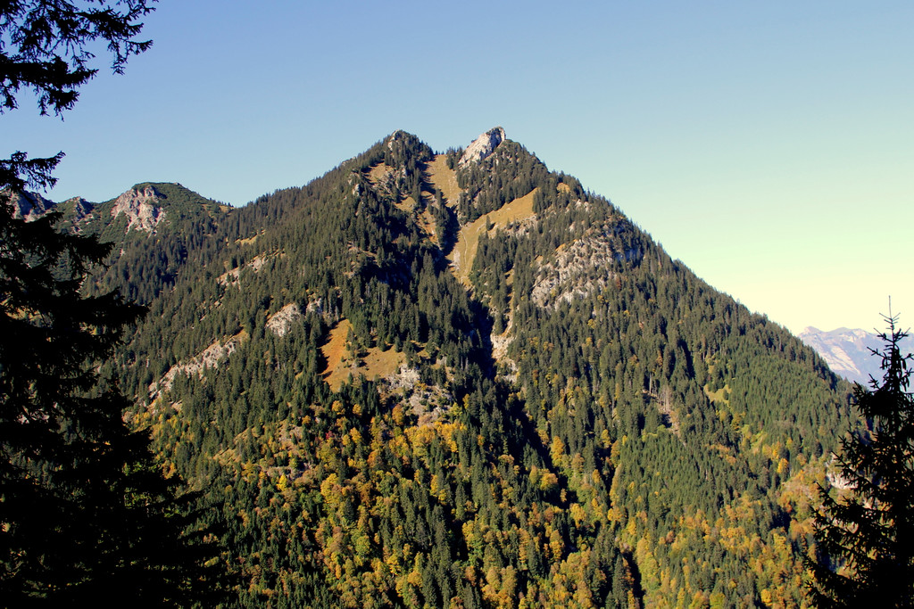 IMG_2645.JPG
