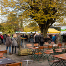 MPRO NET TV Germany _28__jpg-1477230585.jpg