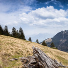 2013-05-01_02 - U__bernachtung Hintera__lpele Sand20130501_004-033.jpg