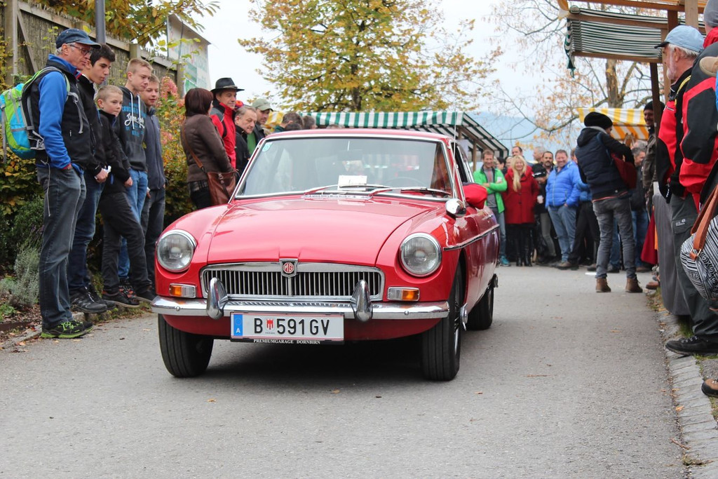 IMG_5264_jiw.jpg