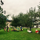 Apfelernte bei Familie Bertsch