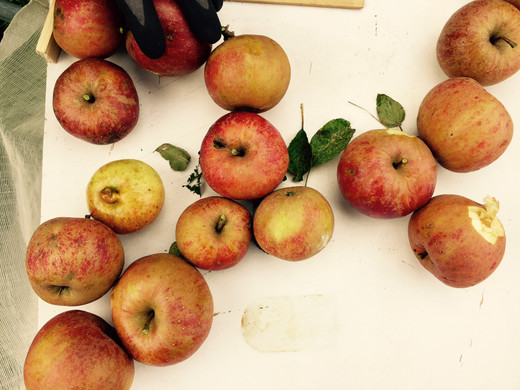 FullSizeRender _7_.jpg