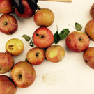 FullSizeRender _7_.jpg