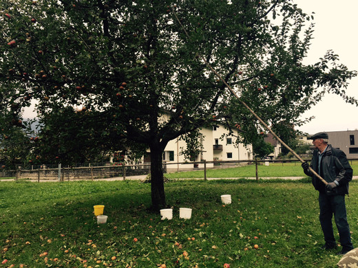 FullSizeRender _13_.jpg