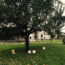 FullSizeRender _13_.jpg