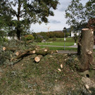 Hochwasserschutz_Leiblach_2016-10-06_DSC01446.jpg