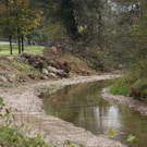 Hochwasserschutz_Leiblach_2016-10-13_DSC01497.jpg