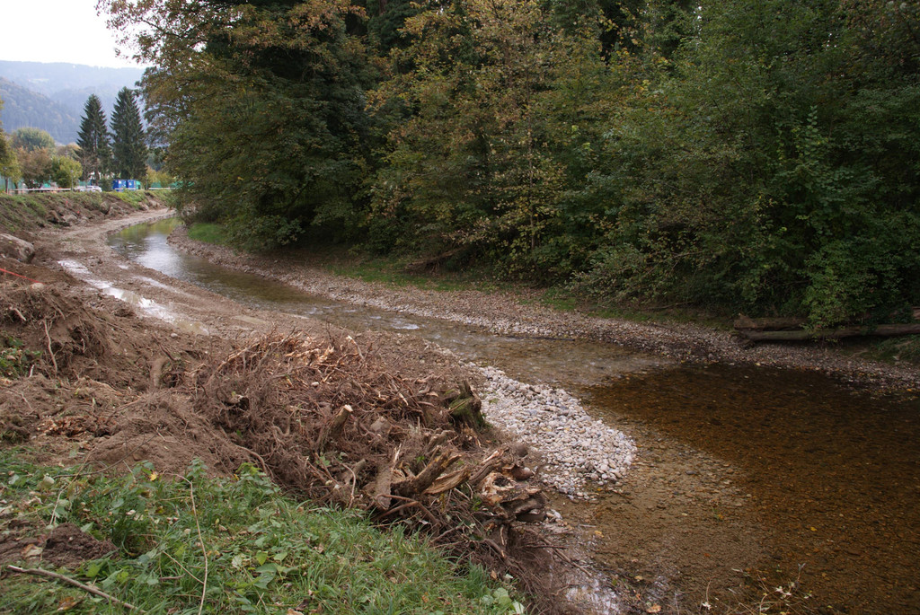 Hochwasserschutz_Leiblach_2016-10-13_DSC01501.jpg