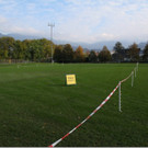 Sanierung Birkenwiese