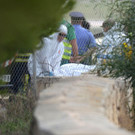 DV2234129.jpg