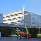 IMG_8916_.jpg