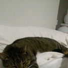 Foto1.jpg