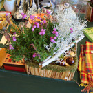 IMG_6203.JPG