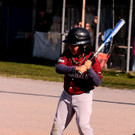 cardinals 00148_JPG-1477494172.jpg