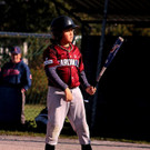 cardinals 00150_JPG-1477494188.jpg