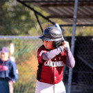 cardinals 00153_JPG-1477494210.jpg