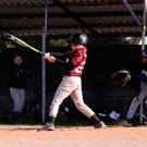 cardinals 00162_JPG-1477494245.jpg