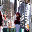 cardinals 00164_JPG-1477494263.jpg