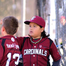 cardinals 00166_JPG-1477494276.jpg