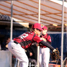 cardinals 00168_JPG-1477494288.jpg