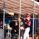 cardinals 00169_JPG-1477494297.jpg