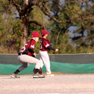 cardinals 00172_JPG-1477494312.jpg