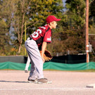 cardinals 00177_JPG-1477494345.jpg