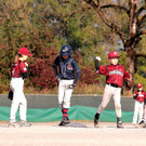 cardinals 00180_JPG-1477494362.jpg
