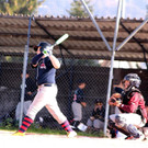 cardinals 00181_JPG-1477494369.jpg
