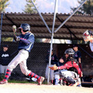 cardinals 00184_JPG-1477494384.jpg