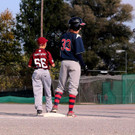 cardinals 00185_JPG-1477494388.jpg