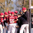 cardinals 00187_JPG-1477494402.jpg