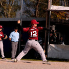 cardinals 00190_JPG-1477494416.jpg