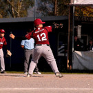 cardinals 00191_JPG-1477494420.jpg