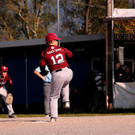 cardinals 00192_JPG-1477494423.jpg