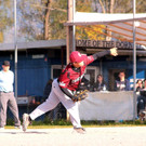 cardinals 00195_JPG-1477494434.jpg