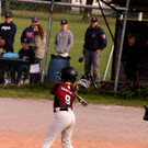 cardinals 00220_JPG-1477494604.jpg