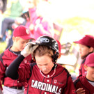 cardinals 00230_JPG-1477494644.jpg