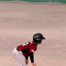 cardinals 00233_JPG-1477494663.jpg