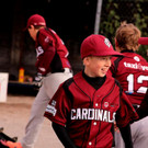 cardinals 00240_JPG-1477494725.jpg