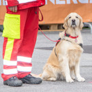 Oesterreichischer Nationalfeiertag 2016 - Wien - 26_10_2016-189.JPG